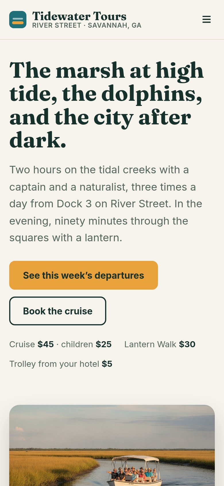 The Tidewater Tours website on a phone: The marsh at high tide, the dolphins, and the city after dark.